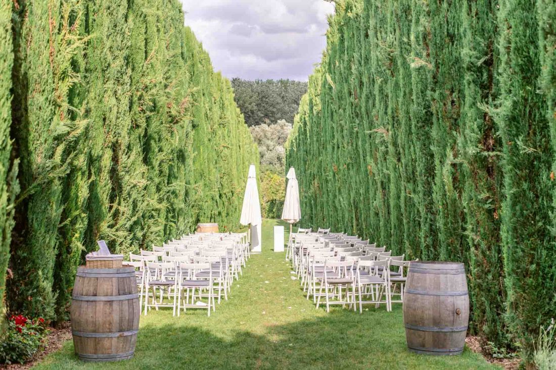 Hochzeit Weingut Mussler Freie Trauung Zypressen Allee